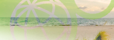 Charlotte Harbor NEP